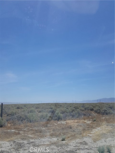 Image Unavailable