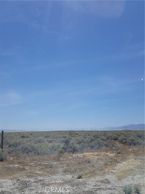 Image Unavailable