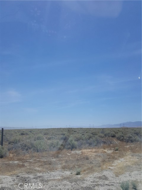 Image Unavailable