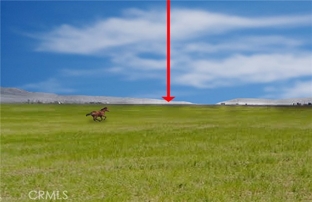 Image Unavailable