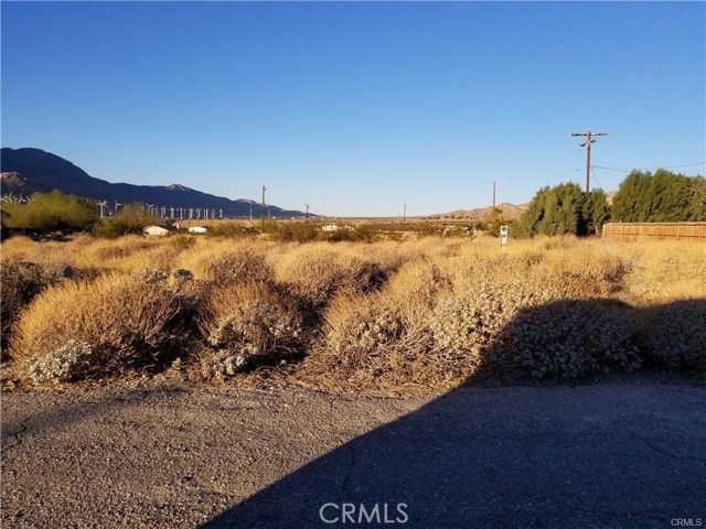 Image Unavailable