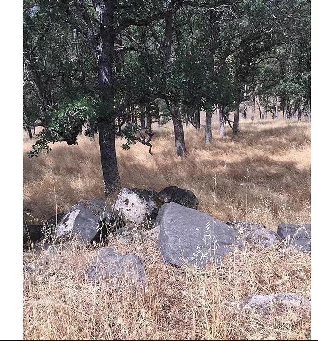 Image Unavailable